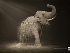 WWF公益广告：荒漠化每年导致6000物种灭亡