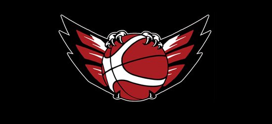 篮球题材的Logo欣赏