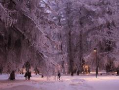 神奇的大自然：漂亮的雪树图片欣赏