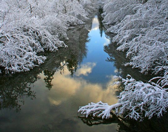 神奇的大自然：漂亮的雪树图片欣赏