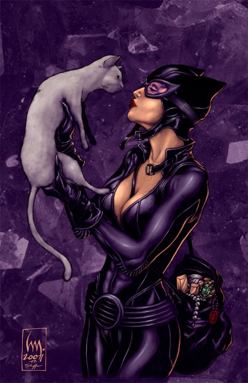 动漫英雄人物：猫女侠(Catwoman)插画