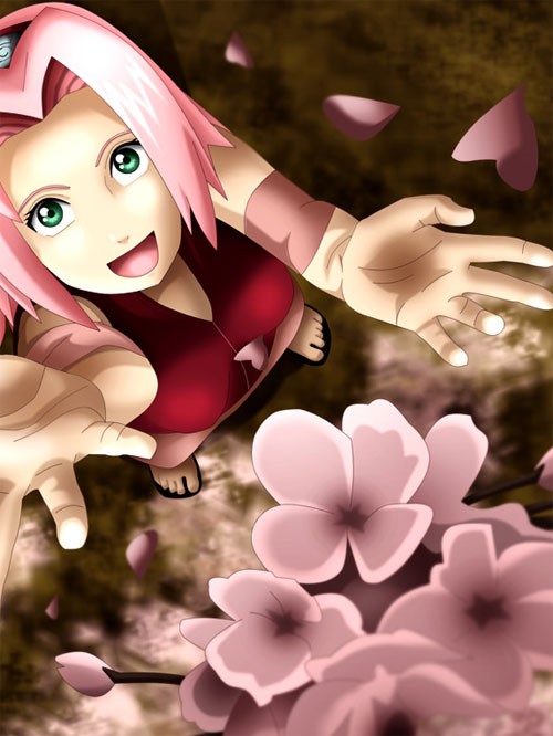 火影忍者NARUTO人物插画：Sakura Haruno