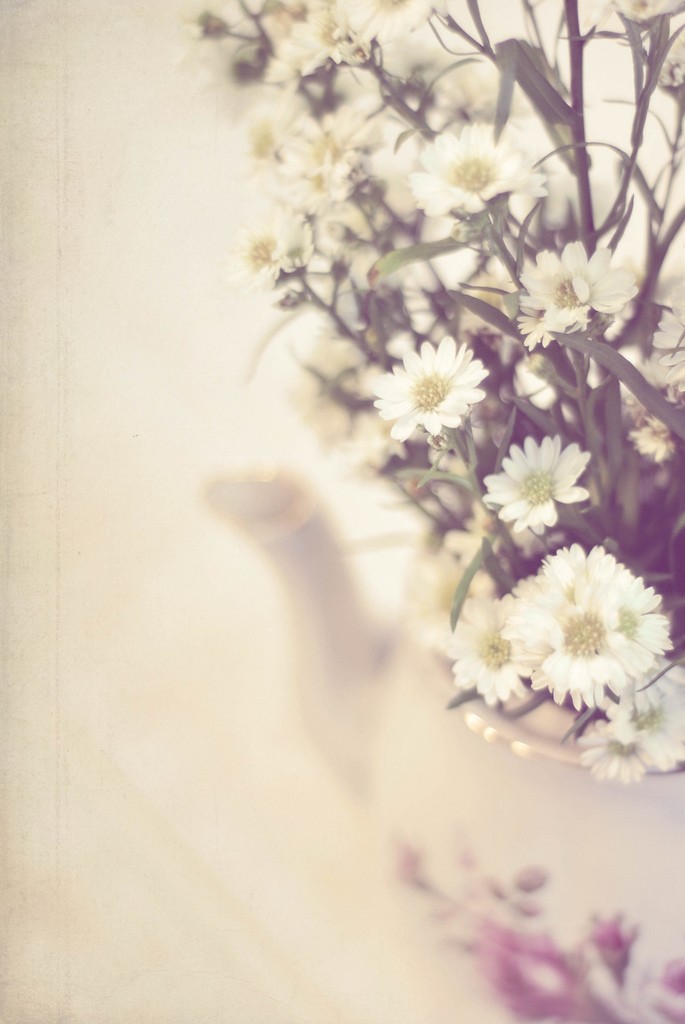 Linda Trine美丽的花卉摄影作品