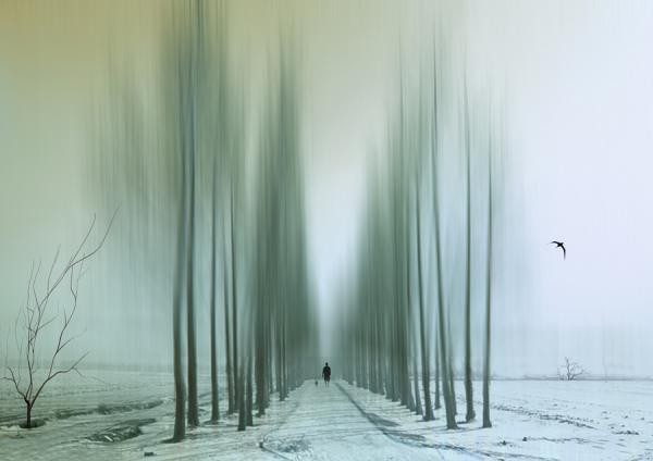 Josh Adamski抽象剪影艺术