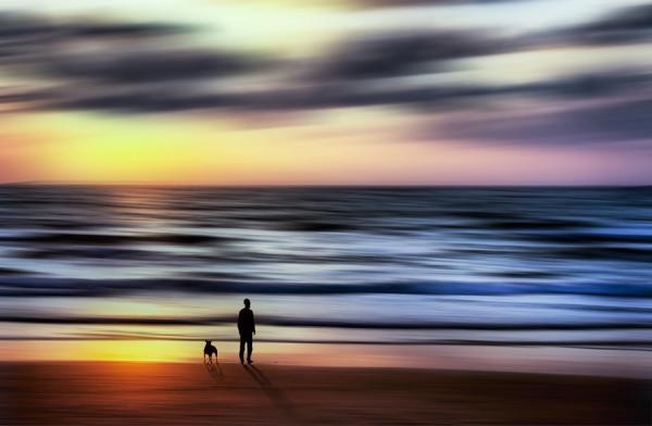 Josh Adamski抽象剪影艺术