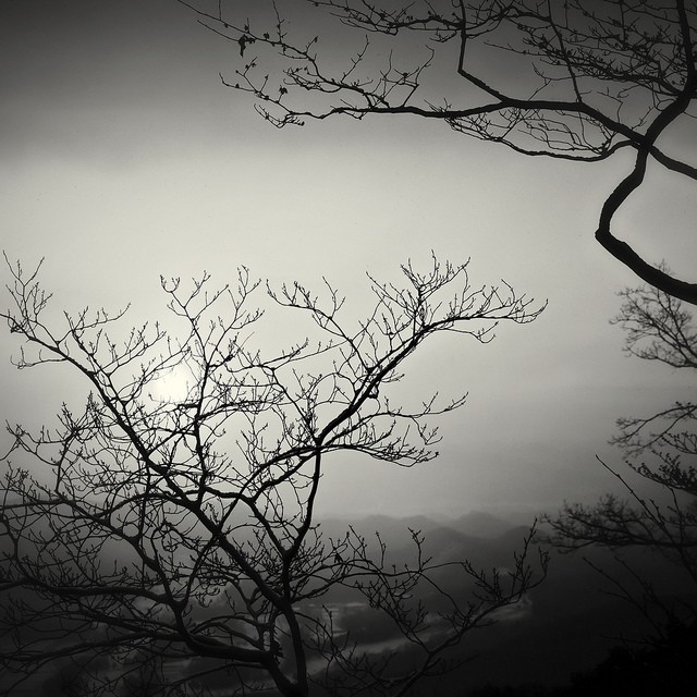 Stephen Cairns黑白摄影作品
