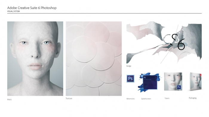 Adobe CS 6 形象和包装设计