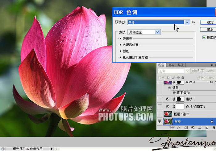 Photoshop打造高清的暗紫色荷花特写图片