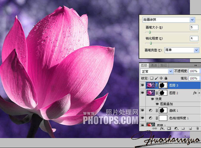 Photoshop打造高清的暗紫色荷花特写图片