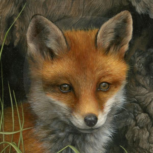 Carl Whitfield动物绘画欣赏