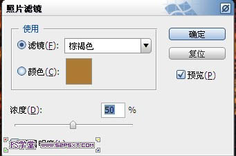 利用画笔及描边路径制作漂亮的金色树叶字