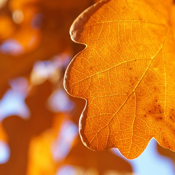 25张美丽的秋天风景摄影