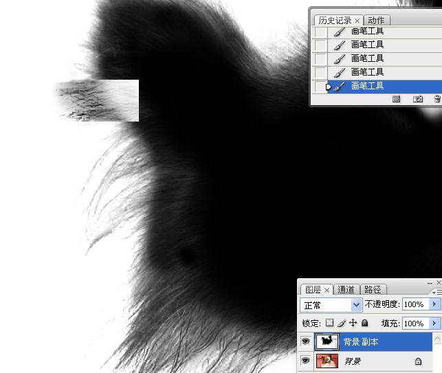 利用PS通道混合器及画笔抠出毛发较多的宠物狗