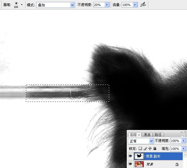 利用PS通道混合器及画笔抠出毛发较多的宠物狗