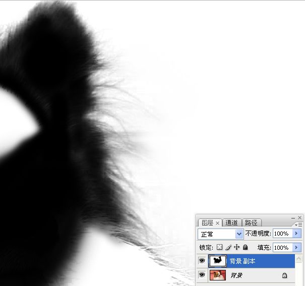 利用PS通道混合器及画笔抠出毛发较多的宠物狗