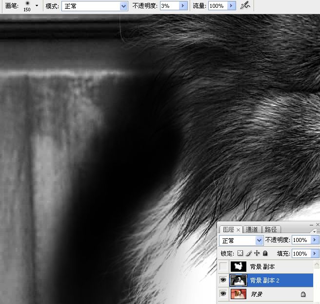 利用PS通道混合器及画笔抠出毛发较多的宠物狗