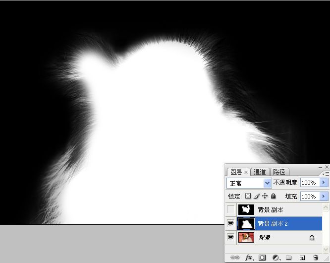 利用PS通道混合器及画笔抠出毛发较多的宠物狗