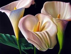 ElleryGutierrez超写实的花卉和水果绘画作品
