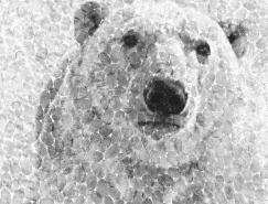 拯救北极熊：可口可乐“ArcticHome”公益广告