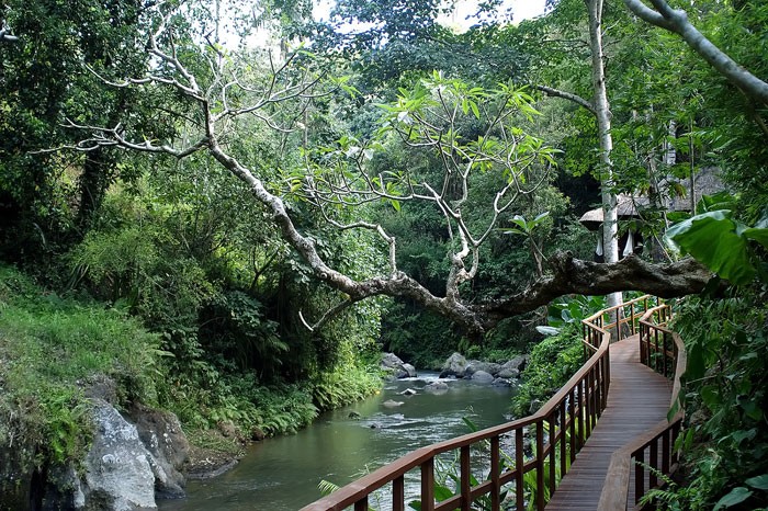 热带天堂巴厘岛: 玛雅乌布度假村(Maya Ubud)