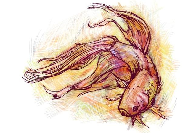 美国艺术家Abby Diamond动物水彩画作品