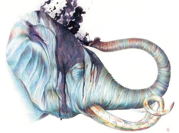 Brandon Keehner水彩动物插画
