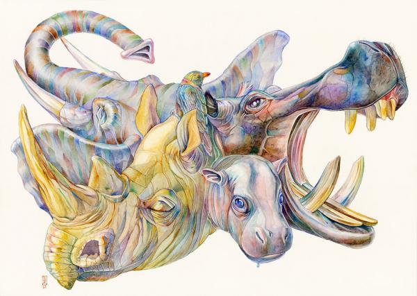 Brandon Keehner水彩动物插画