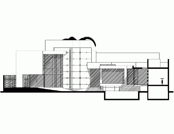 Grupo Volta：墨西哥Y型住宅设计