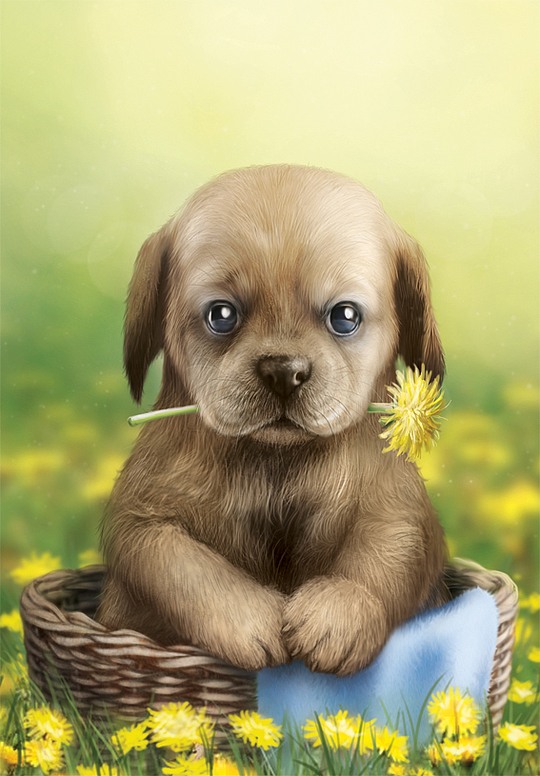 波兰艺术家NImportant肖像插画作品