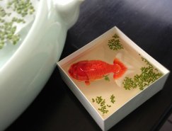 新加坡艺术家Keng Lye：超逼真3D树脂画
