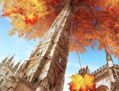 俄罗斯Alexandra Semushina概念插画作品欣赏