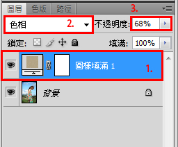 利用Photoshop图案工具加强照片效果