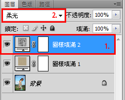 利用Photoshop图案工具加强照片效果