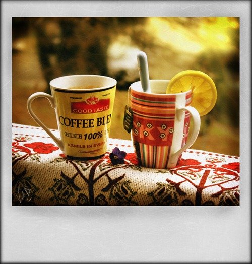 美味的食品和饮料摄影欣赏