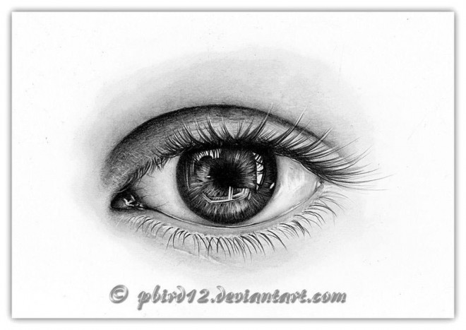 40个漂亮逼真的眼睛特写铅笔画欣赏