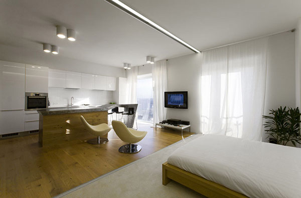 俄罗斯现代简约风格小公寓设计