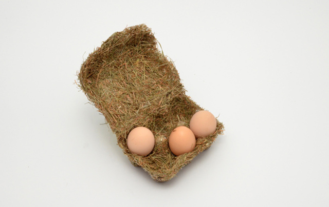 Happy Eggs鸡蛋包装设计