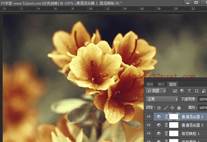 Photoshop打造古典韵味的花卉特写图片