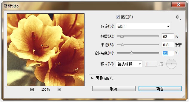 Photoshop打造古典韵味的花卉特写图片