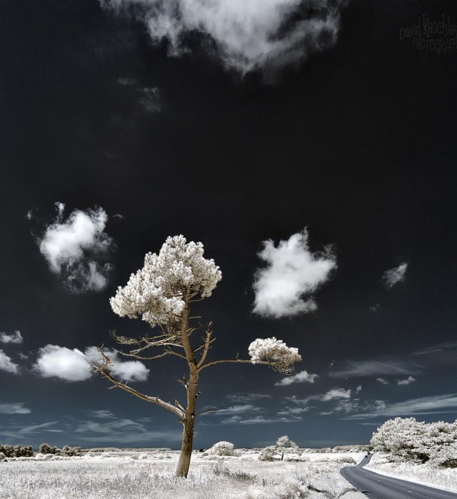 David Keochkerian风光摄影欣赏