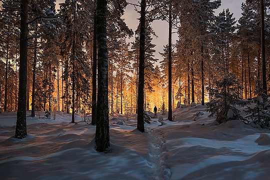 芬兰Mikko Lagerstedt宁静梦幻的摄影作品欣赏