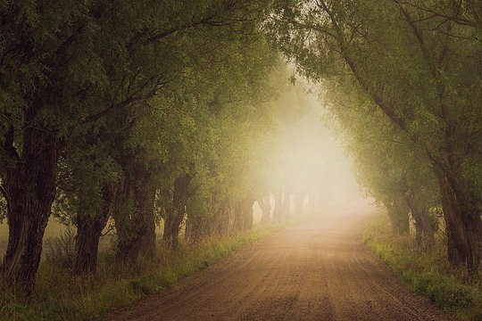 芬兰Mikko Lagerstedt宁静梦幻的摄影作品欣赏