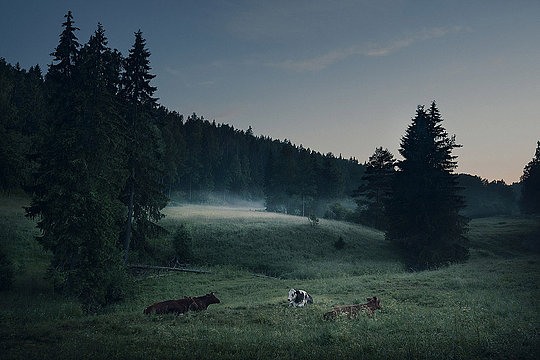 芬兰Mikko Lagerstedt宁静梦幻的摄影作品欣赏