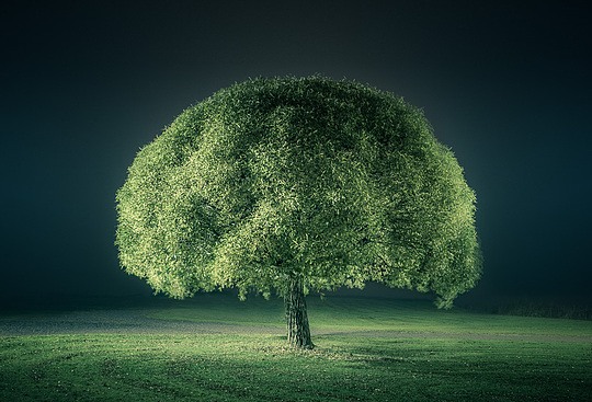 芬兰Mikko Lagerstedt宁静梦幻的摄影作品欣赏