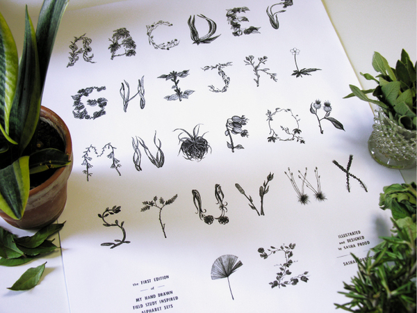 55个英文字母创意字体设计欣赏