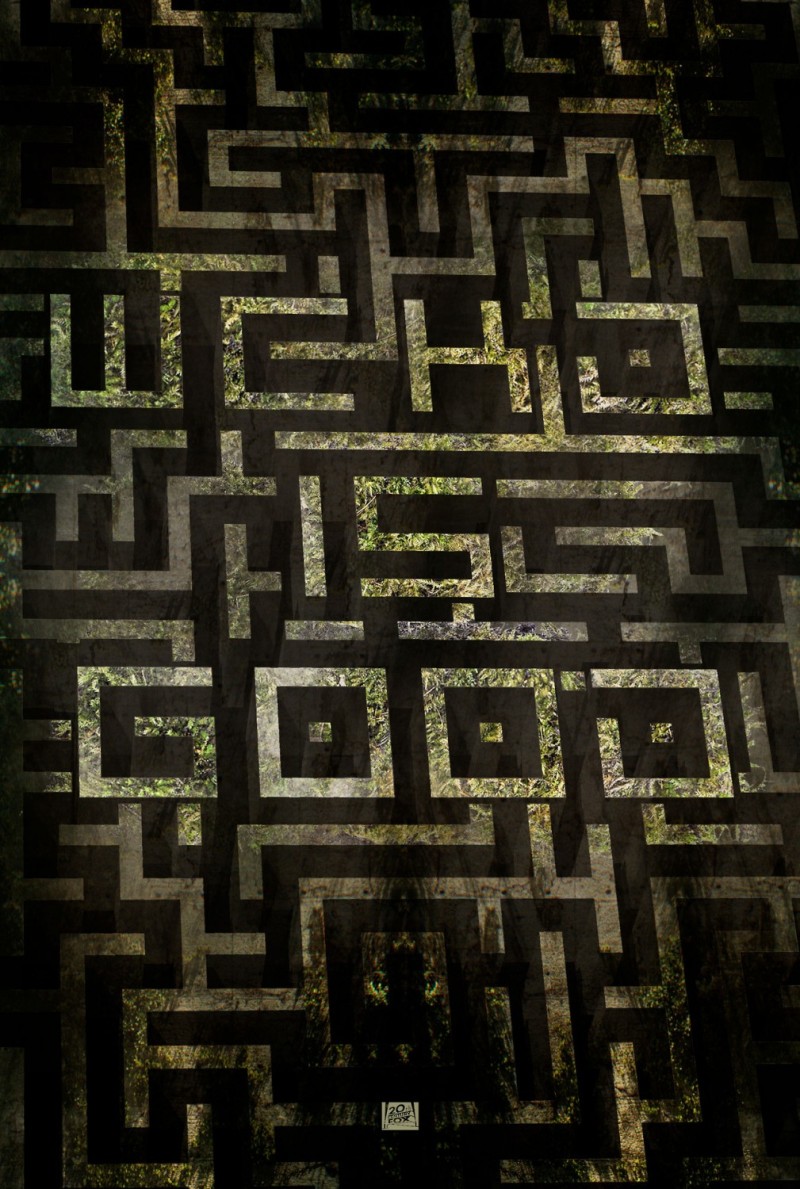 电影海报欣赏:迷宫行者(The Maze Runner)