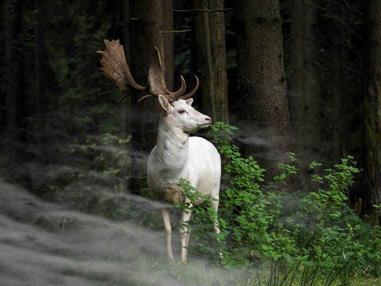 2015索尼世界摄影奖（Sony World Photography Awards）参赛作品欣赏