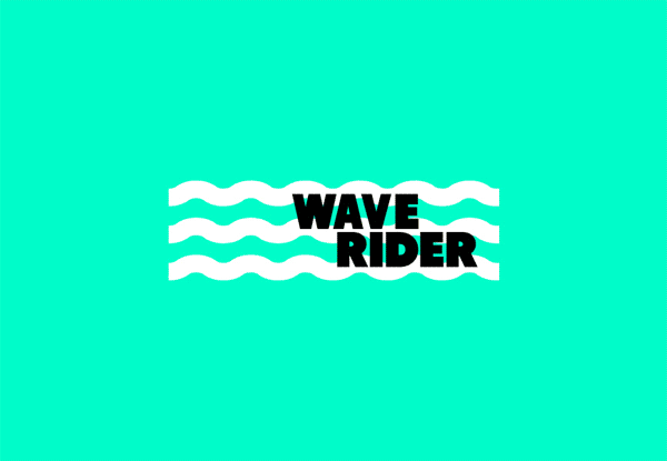 WAVE RIDER品牌形象VI设计