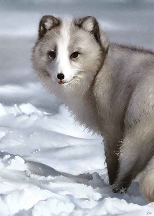 Aaron Griffin肖像插画欣赏