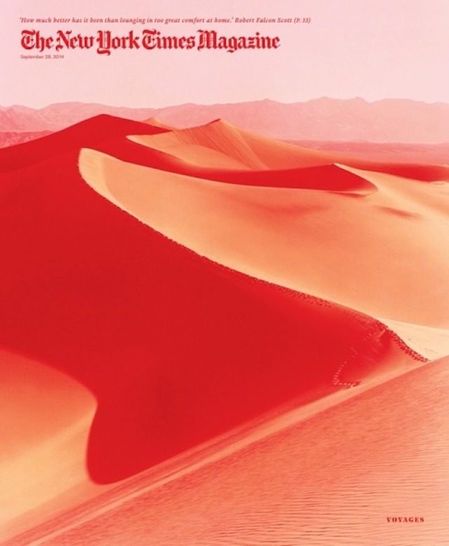 50个2014年度最佳杂志封面设计欣赏